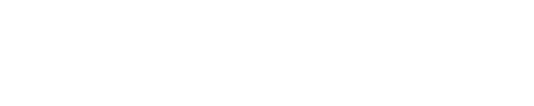 Bull Falls Electric